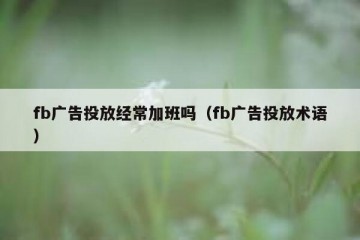 fb广告投放经常加班吗（fb广告投放术语）