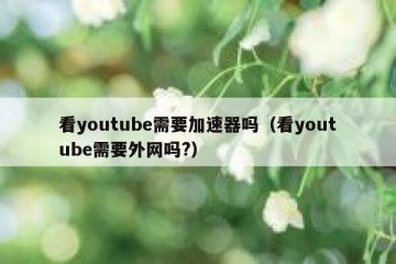 看youtube需要加速器吗（看youtube需要外网吗?）