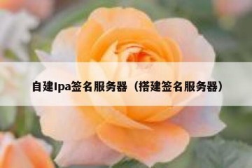 自建Ipa签名服务器（搭建签名服务器）