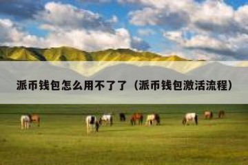 派币钱包怎么用不了了（派币钱包激活流程）