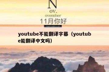 youtube不能翻译字幕（youtube能翻译中文吗）