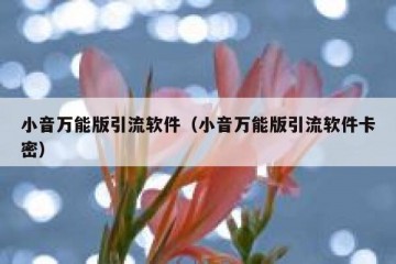 小音万能版引流软件（小音万能版引流软件卡密）