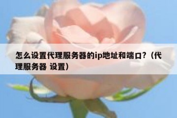 怎么设置代理服务器的ip地址和端口?（代理服务器 设置）