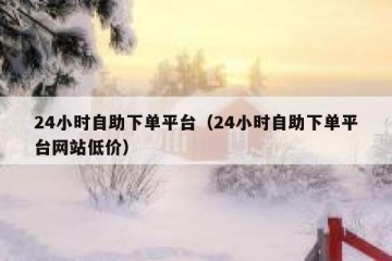 24小时自助下单平台（24小时自助下单平台网站低价）