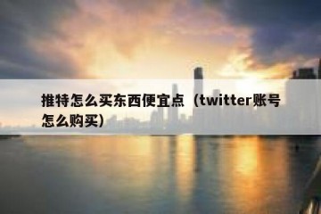 推特怎么买东西便宜点（twitter账号怎么购买）