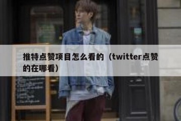 推特点赞项目怎么看的（twitter点赞的在哪看）