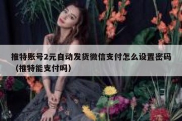 推特账号2元自动发货微信支付怎么设置密码（推特能支付吗）