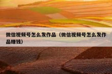 微信视频号怎么发作品（微信视频号怎么发作品赚钱）