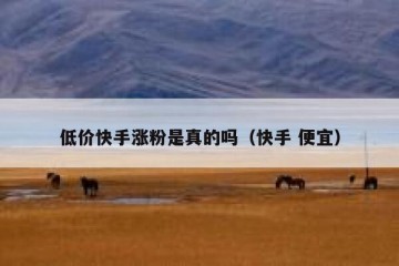低价快手涨粉是真的吗（快手 便宜）
