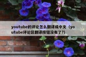 youtube的评论怎么翻译成中文（youtube评论区翻译按钮没有了?）