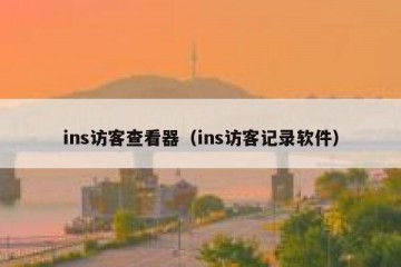 ins访客查看器（ins访客记录软件）