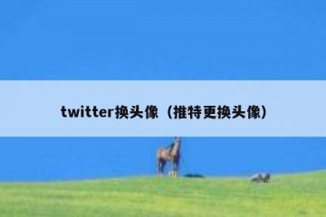 twitter换头像（推特更换头像）