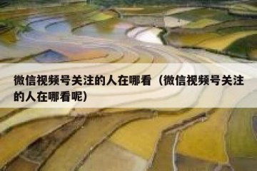 微信视频号关注的人在哪看（微信视频号关注的人在哪看呢）