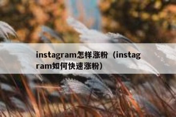 instagram怎样涨粉（instagram如何快速涨粉）