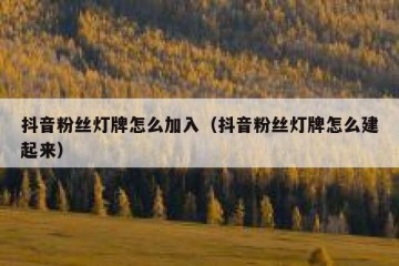 抖音粉丝灯牌怎么加入（抖音粉丝灯牌怎么建起来）