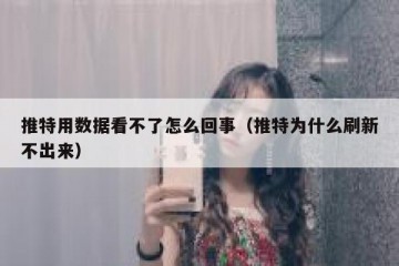 推特用数据看不了怎么回事（推特为什么刷新不出来）