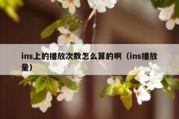ins上的播放次数怎么算的啊（ins播放量）