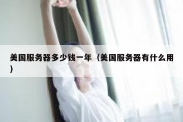 美国服务器多少钱一年（美国服务器有什么用）