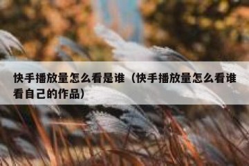 快手播放量怎么看是谁（快手播放量怎么看谁看自己的作品）