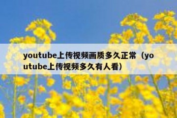 youtube上传视频画质多久正常（youtube上传视频多久有人看）