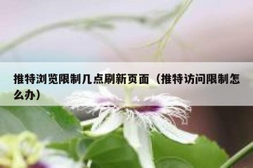 推特浏览限制几点刷新页面（推特访问限制怎么办）