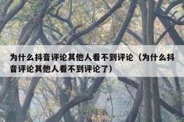 为什么抖音评论其他人看不到评论（为什么抖音评论其他人看不到评论了）
