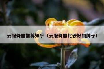云服务器推荐知乎（云服务器比较好的牌子）