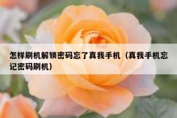 怎样刷机解锁密码忘了真我手机（真我手机忘记密码刷机）