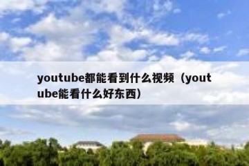 youtube都能看到什么视频（youtube能看什么好东西）