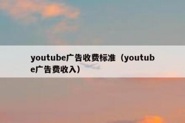 youtube广告收费标准（youtube广告费收入）