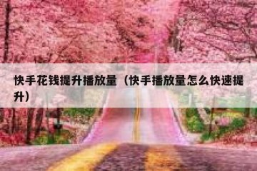 快手花钱提升播放量（快手播放量怎么快速提升）