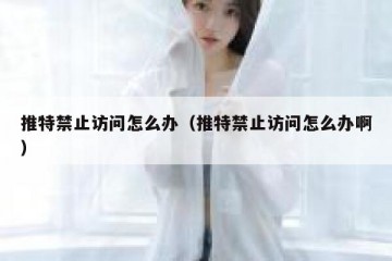推特禁止访问怎么办（推特禁止访问怎么办啊）