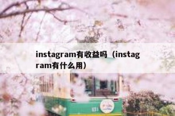 instagram有收益吗（instagram有什么用）