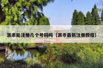 派币能注册几个号码吗（派币最新注册教程）