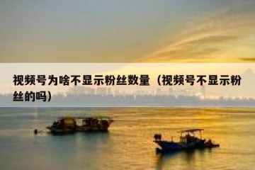 视频号为啥不显示粉丝数量（视频号不显示粉丝的吗）