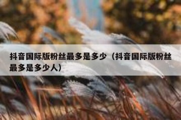 抖音国际版粉丝最多是多少（抖音国际版粉丝最多是多少人）