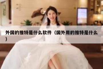外国的推特是什么软件（国外用的推特是什么）