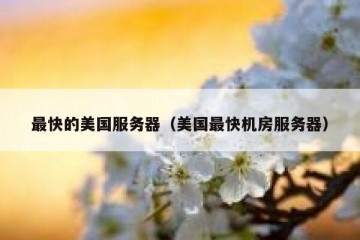 最快的美国服务器（美国最快机房服务器）