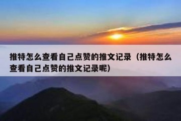 推特怎么查看自己点赞的推文记录（推特怎么查看自己点赞的推文记录呢）