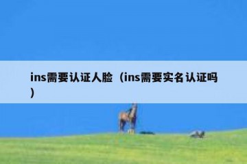 ins需要认证人脸（ins需要实名认证吗）