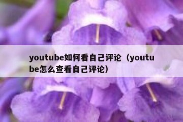 youtube如何看自己评论（youtube怎么查看自己评论）