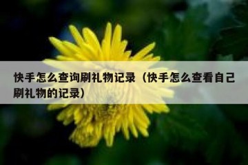 快手怎么查询刷礼物记录（快手怎么查看自己刷礼物的记录）