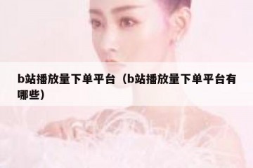 b站播放量下单平台（b站播放量下单平台有哪些）