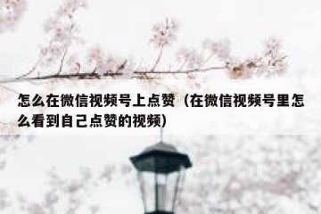 怎么在微信视频号上点赞（在微信视频号里怎么看到自己点赞的视频）