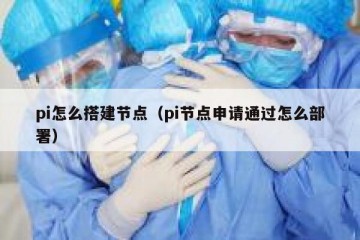 pi怎么搭建节点（pi节点申请通过怎么部署）