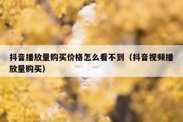 抖音播放量购买价格怎么看不到（抖音视频播放量购买）