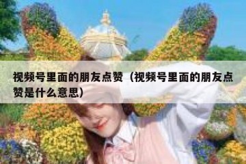 视频号里面的朋友点赞（视频号里面的朋友点赞是什么意思）