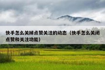 快手怎么关掉点赞关注的动态（快手怎么关闭点赞和关注功能）