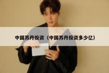 中国苏丹投资（中国苏丹投资多少亿）
