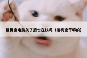 挂机宝电脑关了后也在线吗（挂机宝干嘛的）